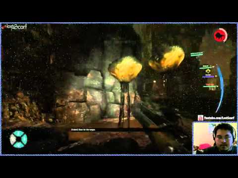 (Stream Rip) Evolve The House Always Wins