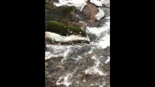 preview picture of video 'Ice on rocks at White Chuck River Launch'