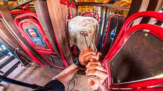 MARQUEI MEUS BOIS NA FAZENDA