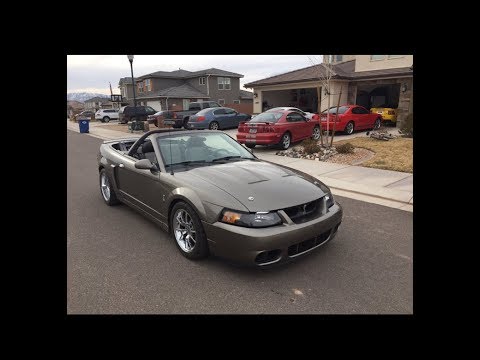 94-04 Ford Mustang Lowering springs install sn95: How to install lowering springs