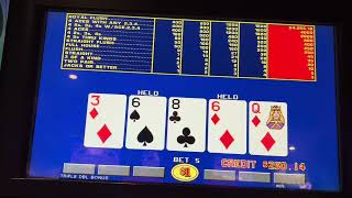 Amazing Dealt Jackpot
