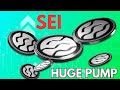 SEI PRICE PREDICTION SEI DUMP WHY IS SEI DOWN HOW HIGH CAN SEI PUMP SHOULD YOU BUY SEI