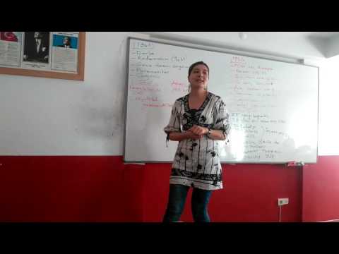 1921, 1924, 1961 ve 1982 Anayasaları