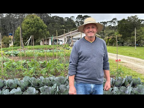 SEU TEGO NUNCA VIVEU NA CIDADE - BOCAINA DO SUL