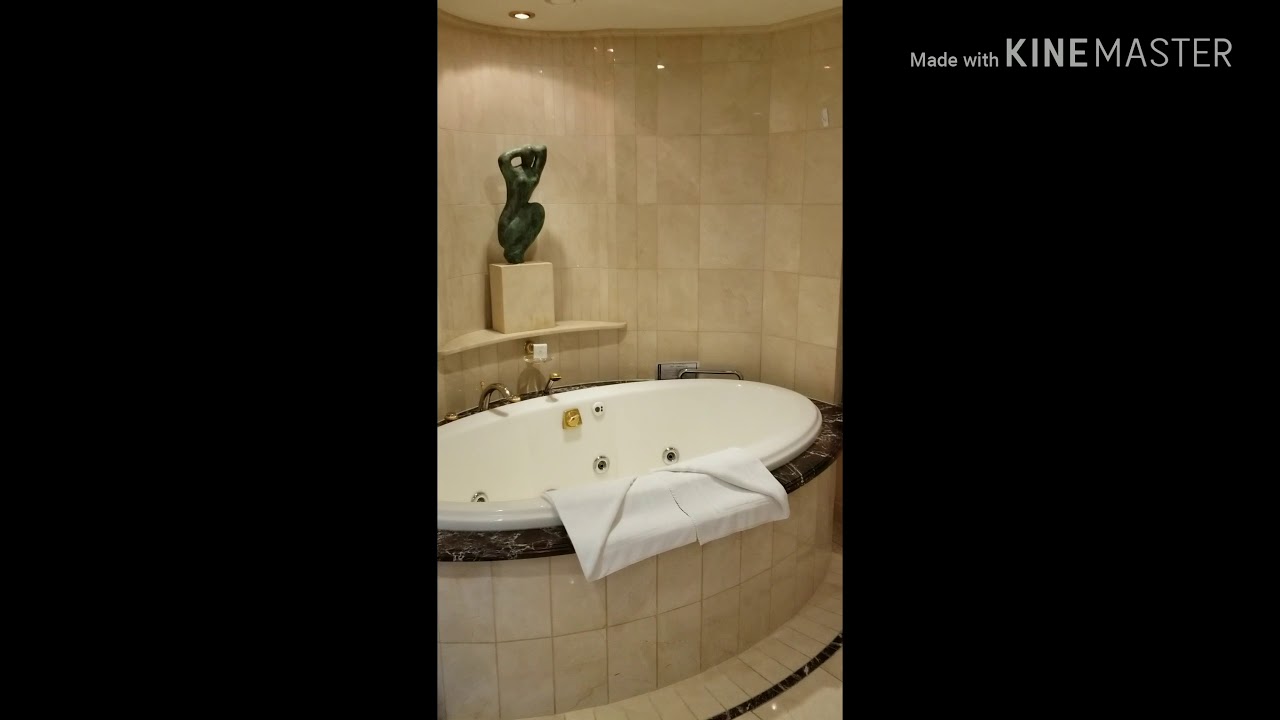 Adventure of the Seas - Cabin 1620 - Video 5
