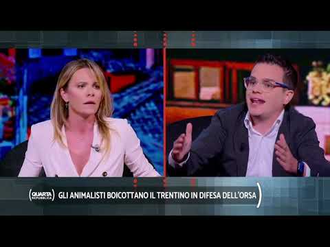 Enrico Rizzi on Quarta Repubblica for the defense of Trentino's bears