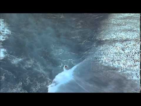 Myon & Shane 54 Feat. Labworks - Ibiza Sunrise