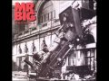 Mr. Big- Daddy, Brother, Lover, Little Boy 