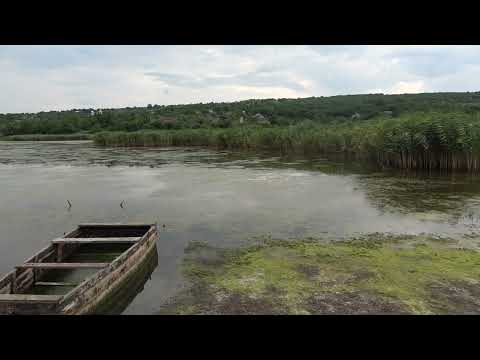 Iazul de la Coropceni (iulie 2023)