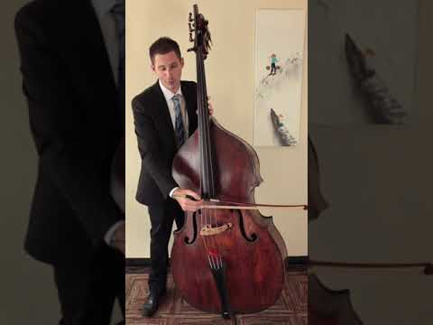 Tuning your double bass (upright bass)