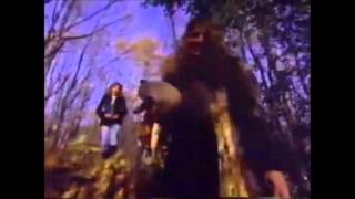 Black Sabbath - Zeitgeist (w/old Footage)