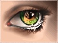 Tears Only Run One Way  ,,,,Rodney Hayden - Archie Shaw Tears Only Run One Way  ,,,,Rodney Hayden