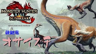 【MHシリーズ実況】モンハンディクショナリー：サンブレイク　オサイズチ [傀異錬成が止まらない]【ゆっくり実況】