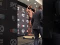 The bantamweight championship main event is official as Sterling weighs in at 134 lbs ? #shorts