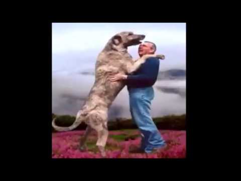 Tekno Mix -- Le bask Hardchoriste Anticptik Il Etait Une Fois Tekno´ s23 Lokbraker...