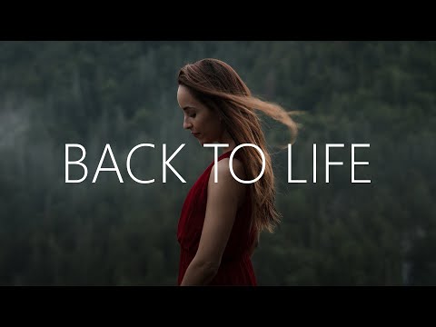 Skush & Chill Satellite - Back To Life (Lyrics)