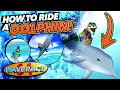 How to RIDE A DOLPHIN in Wave Race 64! (Secret Unlock)