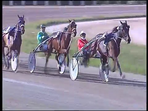 Trotto 21/02/2016 - 2° corsa