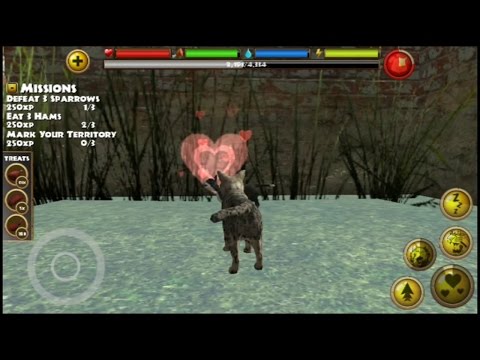 Stray Cat Simulator - Find a Mate - Android/iOS - Gameplay - YouTube