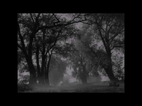 Billa X Lobo Amarillo X Obnoxious Kas - Saga