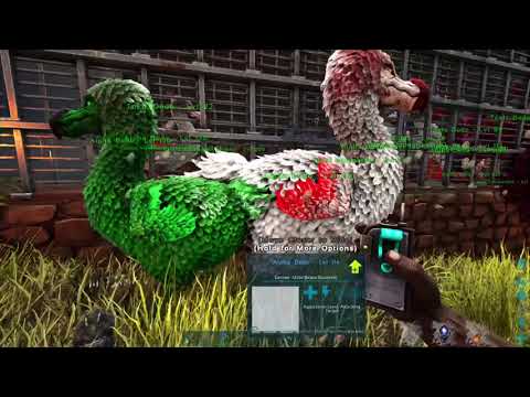 Ark Ultimate base kibble station  build