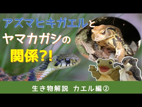 IUCN分類における絶滅の危険性を示す図。