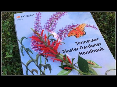 Should You Become a Master Gardener?