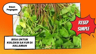 Download lagu CARA MASAK DAUN PEGAGAN UNTUK LAUK SEHARI HARI mp3