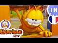 😂 Garfield n'aime pas les lundis ! 😂 - Épisode complet HD