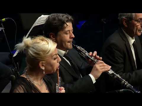 Schumann cello concerto (new cadenza )