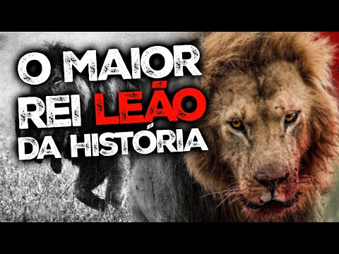 A Dinastia de um Rei Leão - NOTCH O MAIOR LEÃO DA HISTÓRIA (DOCUMENTÁRIO COMPLETO)