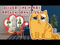Meow Meow Song Oliver The Heart Broken Orange Cat