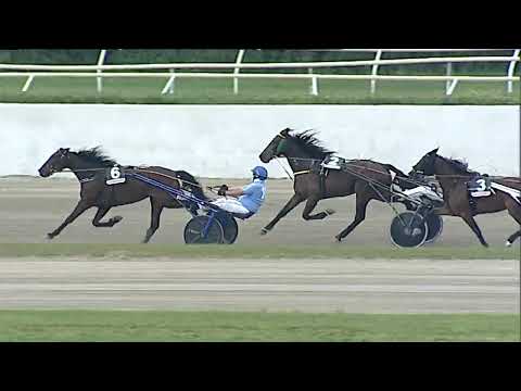 Napoli Trotto 30/04/2023 - 2ª corsa