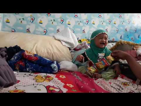 tawa-bayi-anak-pedro-dunia-terbalik