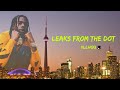 Houdini Can T Come Recreated From Leaked Snippets