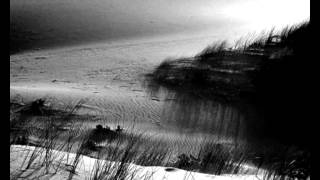 BIRD ON YOUR GRAVE by Marissa Nadler