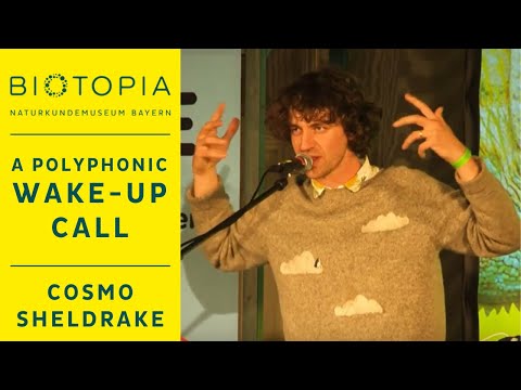 Cosmo Sheldrake: A Polyphonic Wake-up Call | BIOTOPIA SENSE FESTIVAL