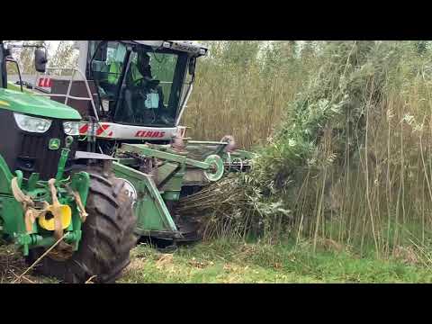 Claas Jaguar 900 Willow harvesting