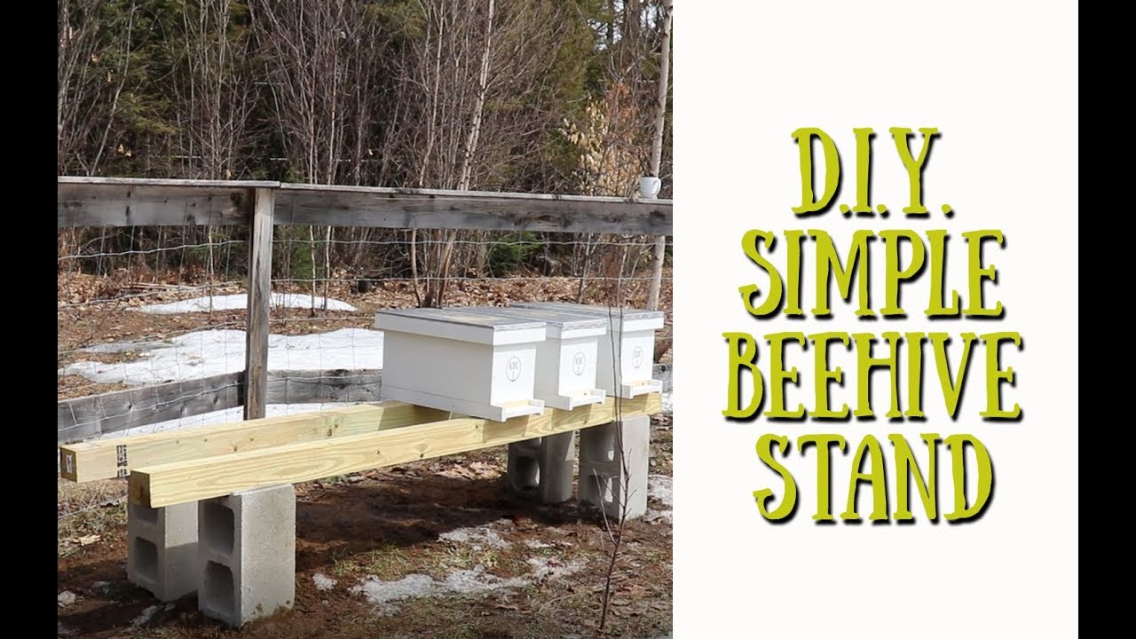 DIY Simple Beehive Stand ~ Homestead Corner