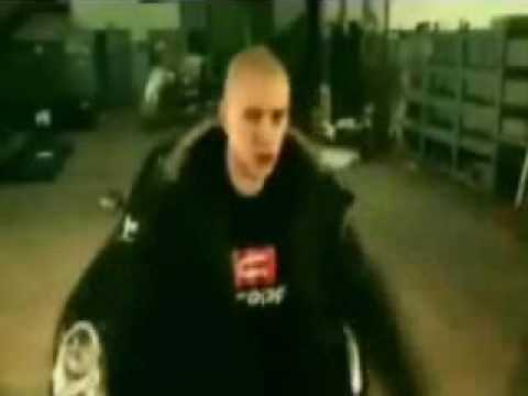 Drzewo - Polska (bez cenzury)