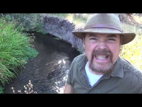 HOW to FIND GOLD |  In Rivers and Creeks - ask Jeff Williams Video