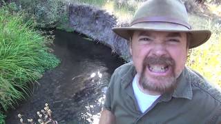 Where to Find Gold !!! In Rivers and Creeks. ask Jeff Williams