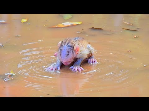 Unforgettable memories.! Sweet tiny baby what's wrong​​.?