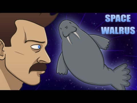 SPACE WALRUS