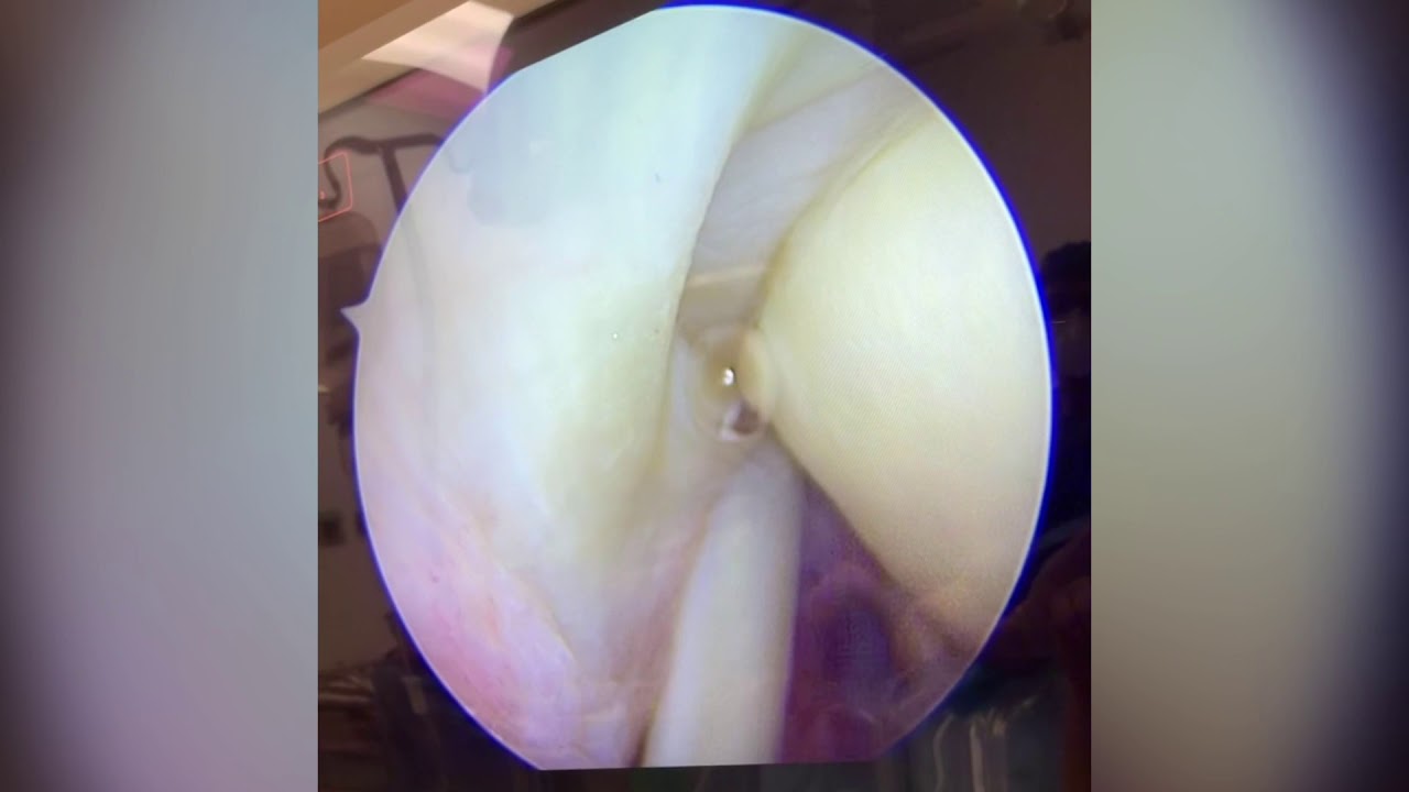 Guillermo Fernández De Lara Guevara-17