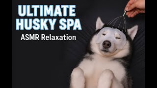 VIP Spa ASMR / My Husky’s Life Is Better Than Yours 😂