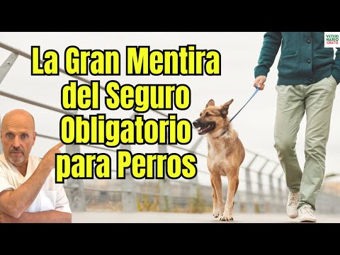 🚨 LA GRAN MENTIRA DEL SEGURO OBLIGATORIO PARA PERROS Y GATOS 🐶🐱 | Dónde SÍ y dónde NO (España 2025)