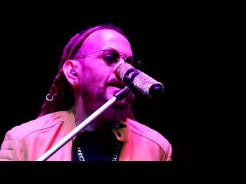 Toño Rosario - Un Buen Perdedor (En Vivo)