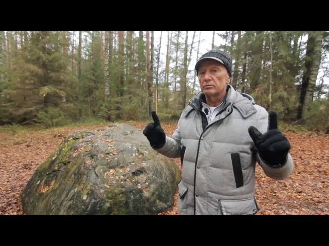 Михаил Задорнов. Целительный камень Михаил Задорнов. Целительный камень