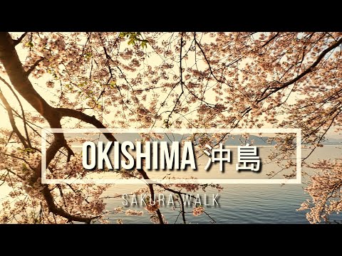 Visit Ōmihachiman 近江八幡を訪ねて | Okishima Island Sakura 沖島桜4K